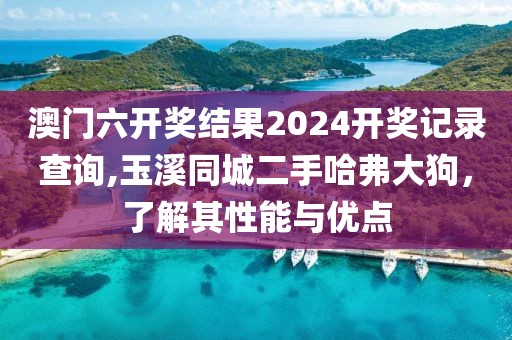澳门六开奖结果2024开奖记录查询,玉溪同城二手哈弗大狗，了解其性能与优点