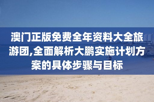 澳门正版免费全年资料大全旅游团,全面解析大鹏实施计划方案的具体步骤与目标