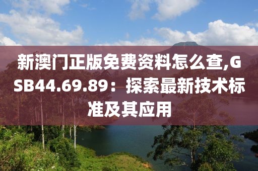 新澳门正版免费资料怎么查,GSB44.69.89：探索最新技术标准及其应用