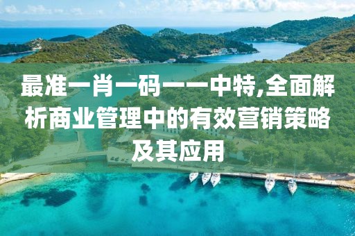 最准一肖一码一一中特,全面解析商业管理中的有效营销策略及其应用