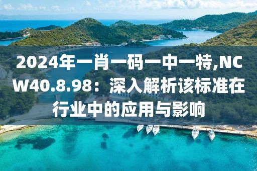 2024年一肖一码一中一特,NCW40.8.98：深入解析该标准在行业中的应用与影响