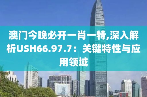 澳门今晚必开一肖一特,深入解析USH66.97.7：关键特性与应用领域