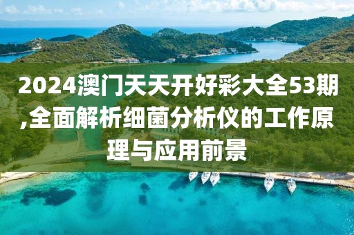 2024澳门天天开好彩大全53期,全面解析细菌分析仪的工作原理与应用前景