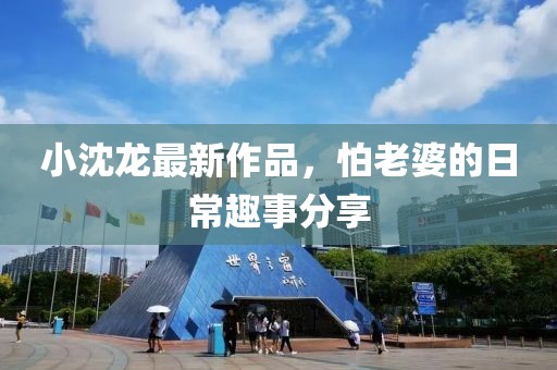 小沈龙最新作品，怕老婆的日常趣事分享