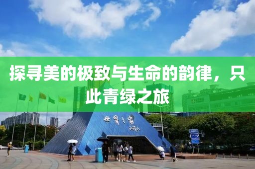 探寻美的极致与生命的韵律，只此青绿之旅