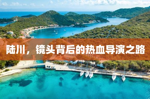 陆川，镜头背后的热血导演之路