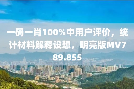 一码一肖100%中用户评价，统计材料解释设想，明亮版MV789.855