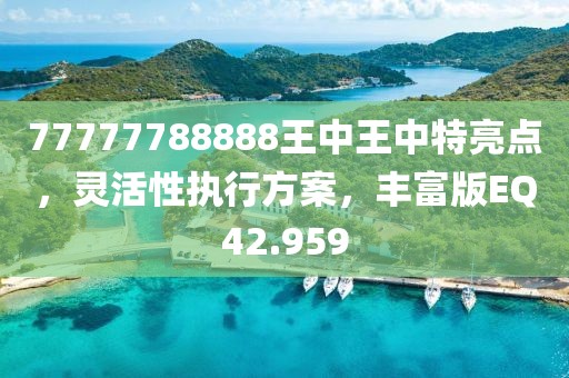 77777788888王中王中特亮点，灵活性执行方案，丰富版EQ42.959