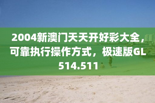 2004新澳门天天开好彩大全，可靠执行操作方式，极速版GL514.511