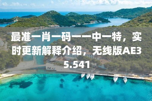 最准一肖一码一一中一特，实时更新解释介绍，无线版AE35.541