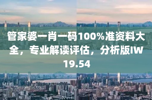 管家婆一肖一码100%准资料大全，专业解读评估，分析版IW19.54