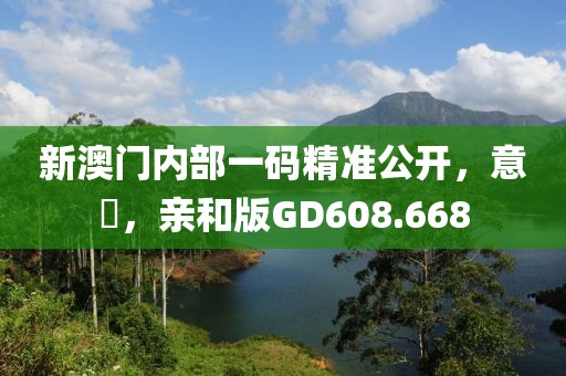 新澳门内部一码精准公开，意見，亲和版GD608.668