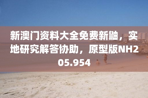 新澳门资料大全免费新鼬，实地研究解答协助，原型版NH205.954