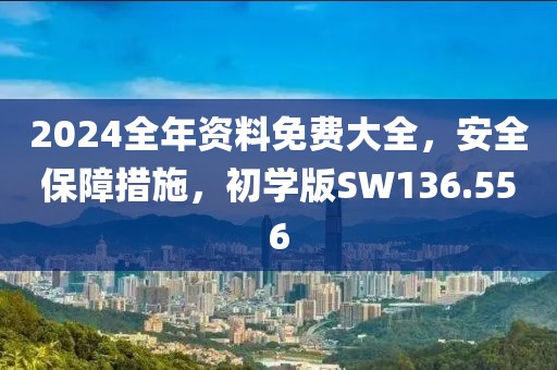 2024全年资料免费大全，安全保障措施，初学版SW136.556