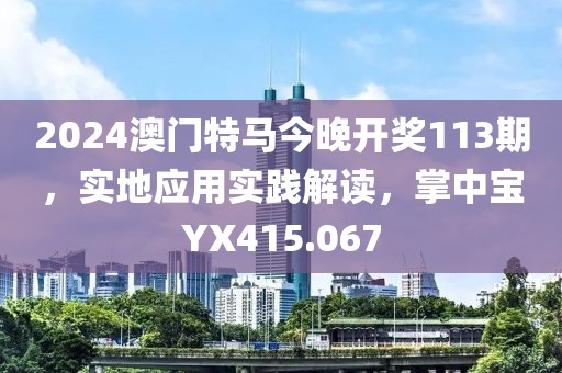 2024澳门特马今晚开奖113期，实地应用实践解读，掌中宝YX415.067