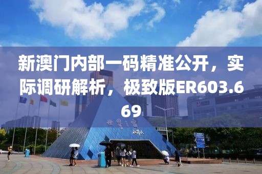 新澳门内部一码精准公开，实际调研解析，极致版ER603.669