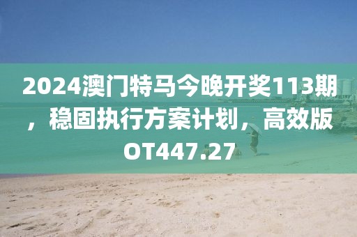 2024澳门特马今晚开奖113期，稳固执行方案计划，高效版OT447.27
