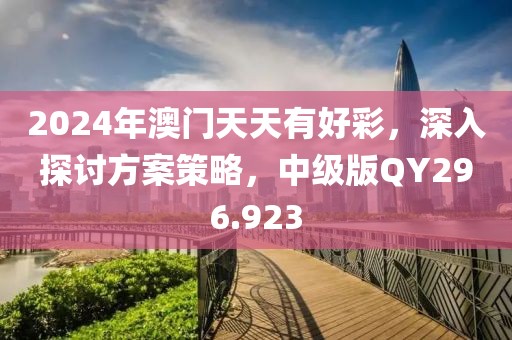 2024年澳门天天有好彩，深入探讨方案策略，中级版QY296.923