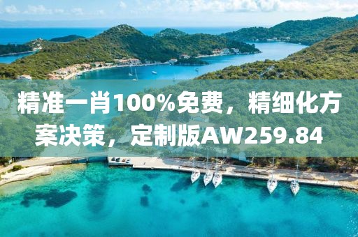 精准一肖100%免费，精细化方案决策，定制版AW259.84