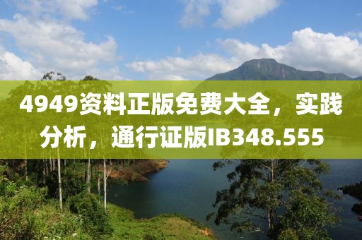 4949资料正版免费大全，实践分析，通行证版IB348.555
