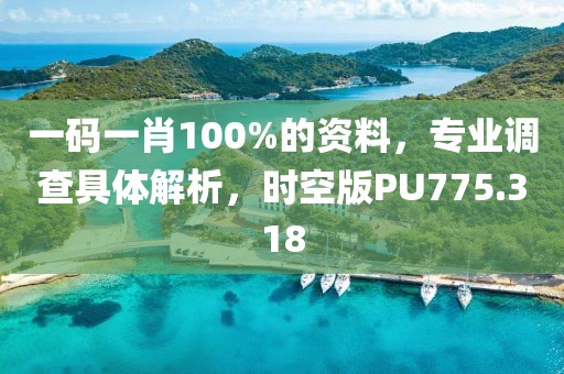 一码一肖100%的资料，专业调查具体解析，时空版PU775.318