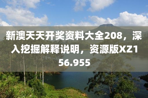 新澳天天开奖资料大全208，深入挖掘解释说明，资源版XZ156.955