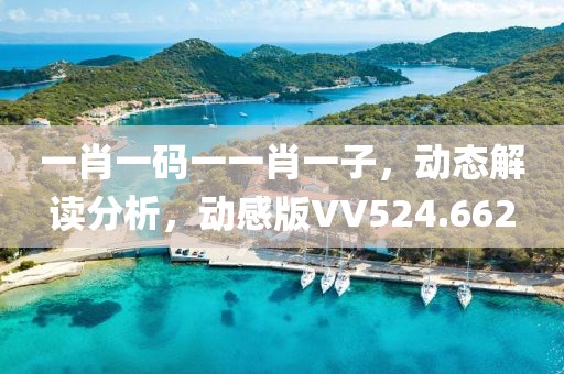 一肖一码一一肖一子，动态解读分析，动感版VV524.662
