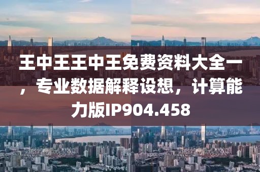 王中王王中王免费资料大全一，专业数据解释设想，计算能力版IP904.458