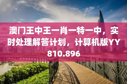 澳门王中王一肖一特一中，实时处理解答计划，计算机版YY810.896