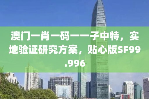 澳门一肖一码一一子中特，实地验证研究方案，贴心版SF99.996