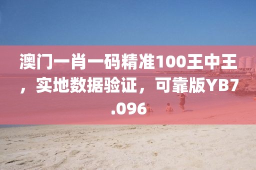 澳门一肖一码精准100王中王，实地数据验证，可靠版YB7.096