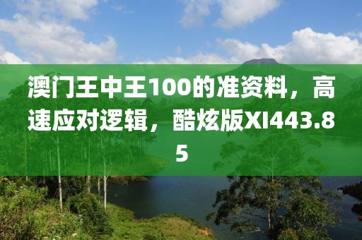 澳门王中王100的准资料，高速应对逻辑，酷炫版XI443.85