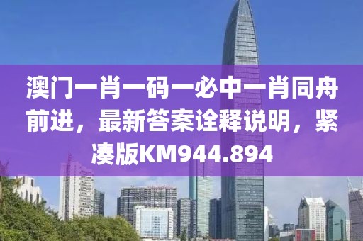 澳门一肖一码一必中一肖同舟前进，最新答案诠释说明，紧凑版KM944.894