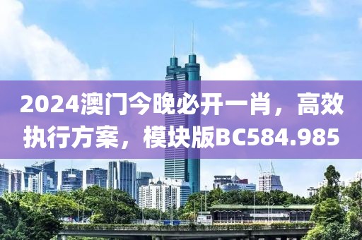 2024澳门今晚必开一肖，高效执行方案，模块版BC584.985