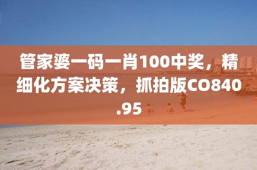 管家婆一码一肖100中奖，精细化方案决策，抓拍版CO840.95