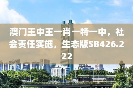 澳门王中王一肖一特一中，社会责任实施，生态版SB426.222