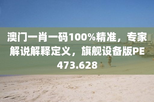 澳门一肖一码100%精准，专家解说解释定义，旗舰设备版PE473.628