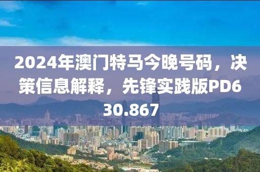 2024年澳门特马今晚号码，决策信息解释，先锋实践版PD630.867