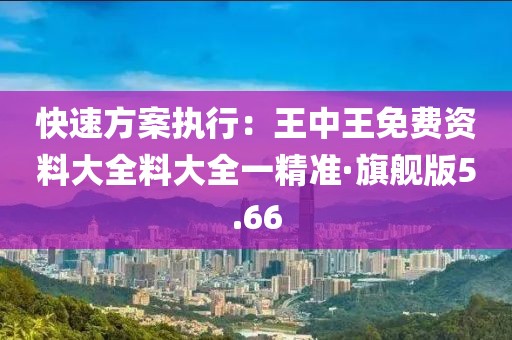 快速方案执行：王中王免费资料大全料大全一精准·旗舰版5.66