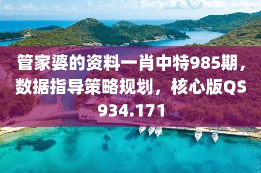 管家婆的资料一肖中特985期，数据指导策略规划，核心版QS934.171