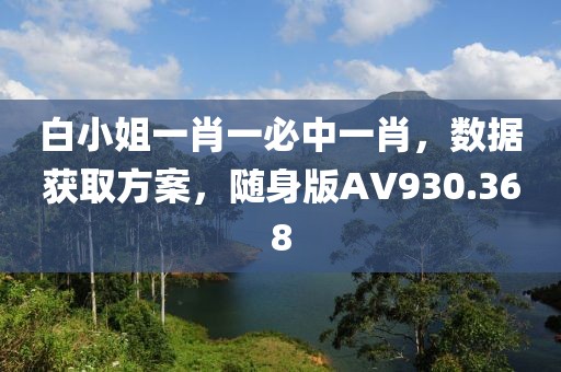白小姐一肖一必中一肖，数据获取方案，随身版AV930.368