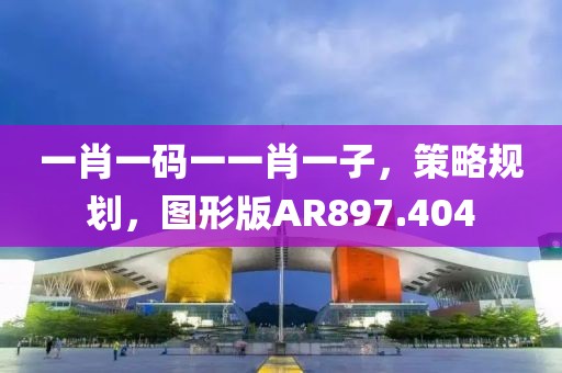一肖一码一一肖一子，策略规划，图形版AR897.404