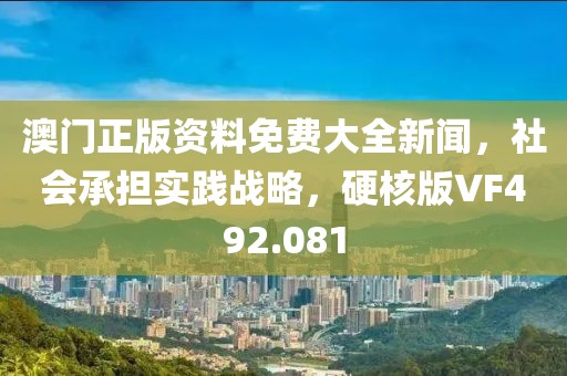 澳门正版资料免费大全新闻，社会承担实践战略，硬核版VF492.081