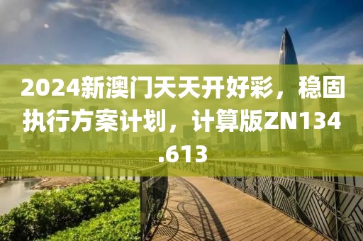 2024新澳门天天开好彩，稳固执行方案计划，计算版ZN134.613