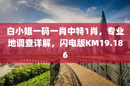 白小姐一码一肖中特1肖，专业地调查详解，闪电版KM19.186