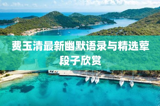 费玉清最新幽默语录与精选荤段子欣赏