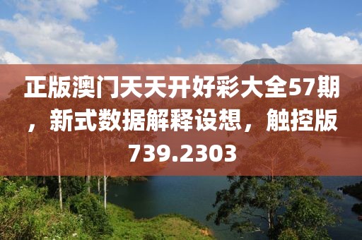 正版澳门天天开好彩大全57期，新式数据解释设想，触控版739.2303