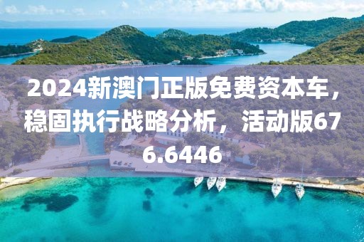 2024新澳门正版免费资本车，稳固执行战略分析，活动版676.6446