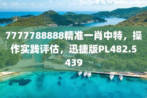 7777788888精准一肖中特，操作实践评估，迅捷版PL482.5439