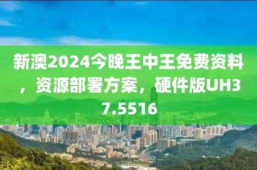 新澳2024今晚王中王免费资料，资源部署方案，硬件版UH37.5516